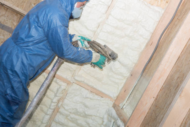 Best Radiant Barrier Insulation  in Lucedale, MS