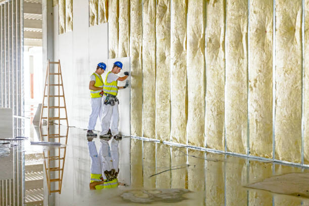 Best Eco-Friendly or Green Insulation Solutions  in Lucedale, MS